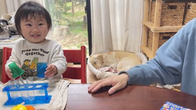 楽しそうで何より♪