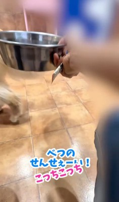 社交に大忙し!!