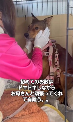 幸せを掴んだいっちゃん＆アロマちゃん4