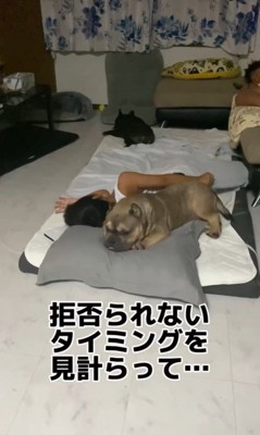 次男くんと寝たいルッチくん8