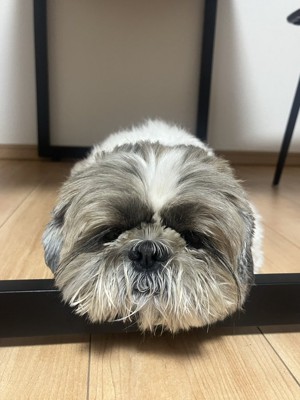 まん丸