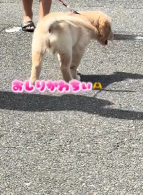 とってもにぎやか!