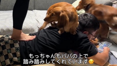 ママさんと一緒に背中をふみふみ♪