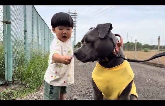 おままごとに付き合うあおいくん