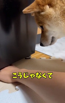 説明するママ1