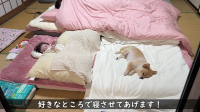 これからは4人で寝よう