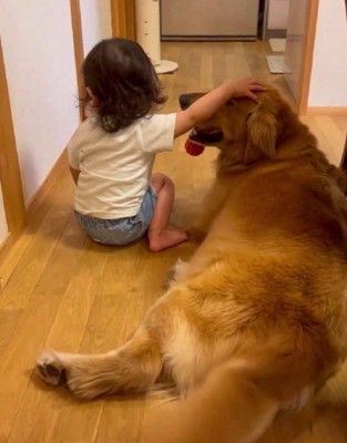 手が届かない…