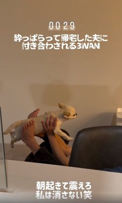 最後に持ち上げられるとうふくん