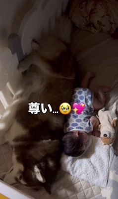 ずっと見ていたい…