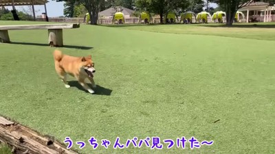 芝生をダッシュするうにくん