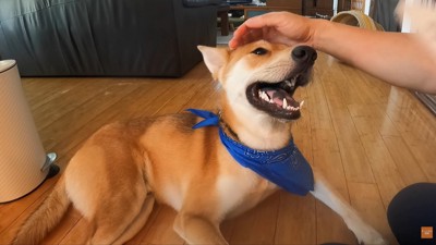 とっても幸せそう♡