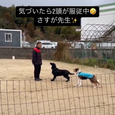 訓練中に乱入するポリくん3