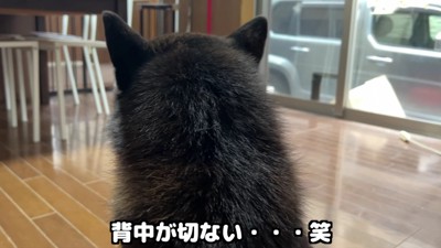 寂しそうな背中が切ない…