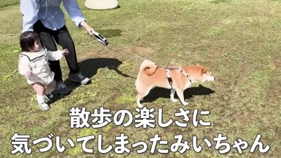 お散歩にハマっちゃった！？