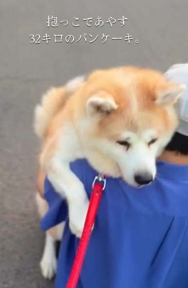帰りたくないときは…