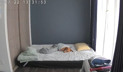 別日