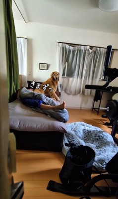 お兄ちゃんの部屋から出てこない蘭ちゃん7