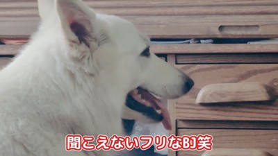 BJ くんに「お風呂入る？」と聞いたら8
