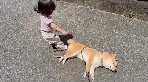 犬を指さす女の子