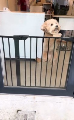 飛び跳ねるぷっくくん2