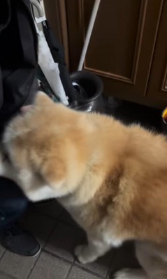 健くんの熱烈歓迎7