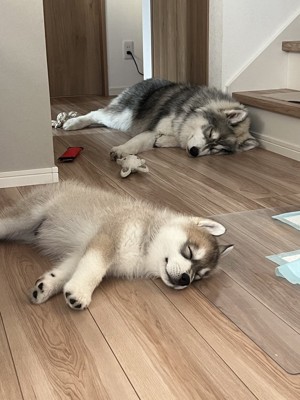 お迎え