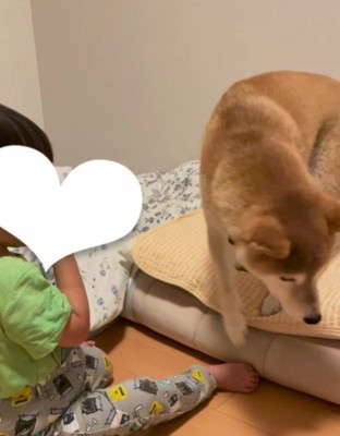 「いーいーよ」