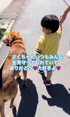 男の子を守る咲太郎くん8