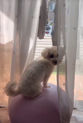 くるりと振り向いて…