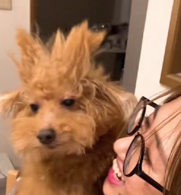 戦闘力が高そう…！！