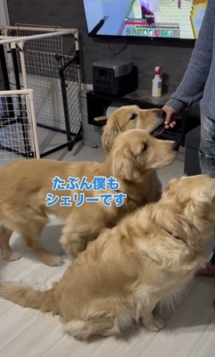 ホープくんも来た