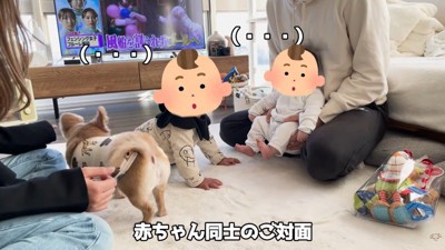 ハナちゃんと赤ちゃんたちの交流6