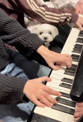 まだまだお怒りのころんちゃん