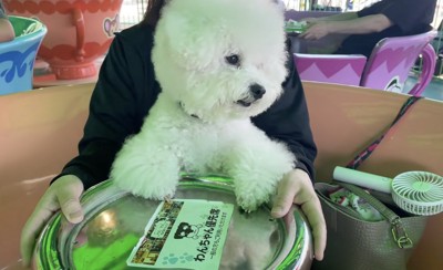 首を傾げて「??」