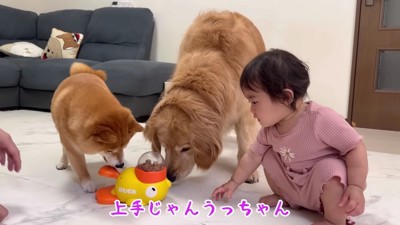 おうちで遊ぶことに