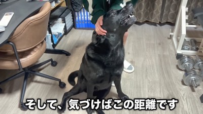 再びナデナデしたら…