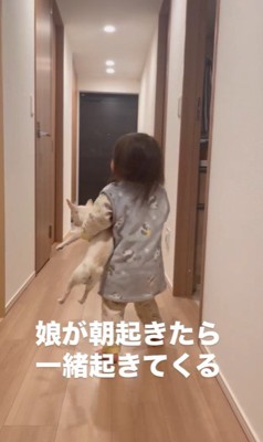 娘さんのルーティンに