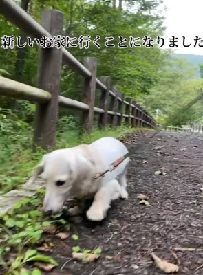 家族とのお別れは悲しかった