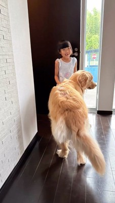 笑顔の女の子と、女の子の傍でシッポを振る犬
