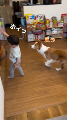 ボールを投げる男の子
