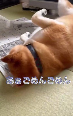 体を起こすのは面倒！？