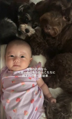 2匹揃って見守ってくれています