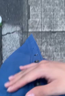 ママさんのお腹の中には新しい命