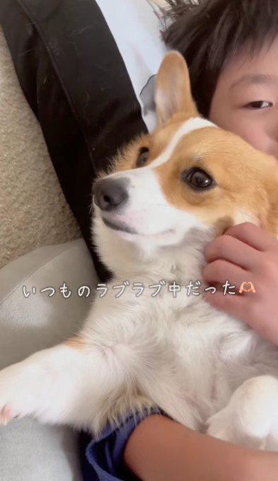 いつものイチャイチャだった