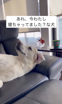 ふぅ