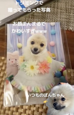 お顔まんまる!