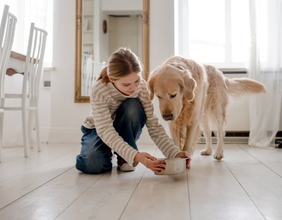 犬に水を用意する女の子