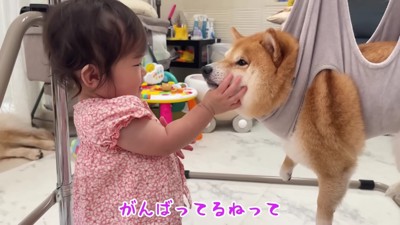 ほのちゃんがやってきて…