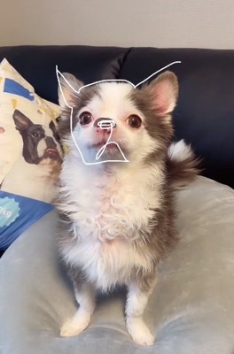 描き続ける投稿主さん