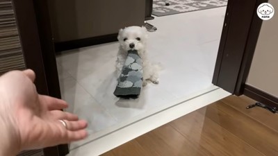 ナナくんとママさんのやり取り4
